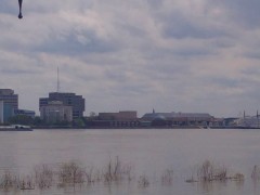 IMG_20200316_121418897-2