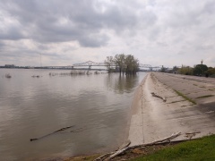 IMG_20200316_121832960-1