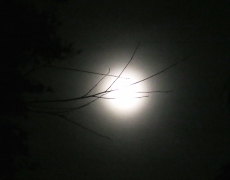 backyard moon - 3 - IMG_0423