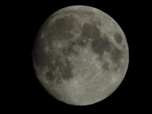 moonfromDale - 1 -