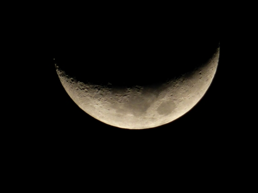 moonfromDale - 3 - m2