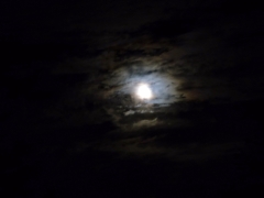 moonfromDale - 4 - P1010179a (1)