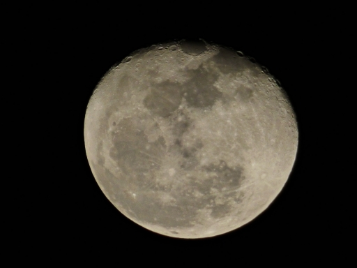 moonfromDale - 5 - P1010337