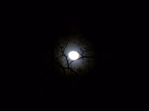 moonfromDale - 6 - P1010340