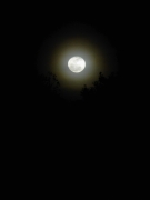 moonfromDale - 7 - P1010531
