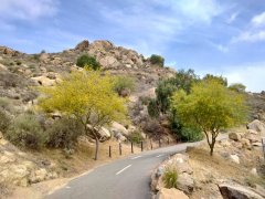 Mt-Rubidoux-01