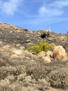 Mt-Rubidoux-02
