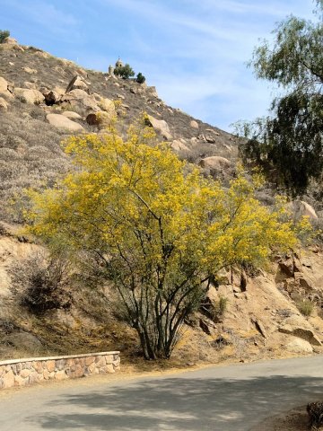 Mt-Rubidoux-03