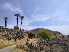 Mt-Rubidoux-04