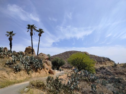 Mt-Rubidoux-04