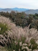 Mt-Rubidoux-35