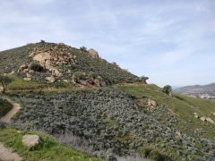 Mt-Rubidoux-38