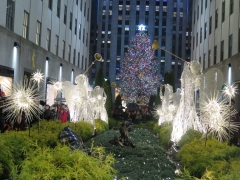 New York City December 2014