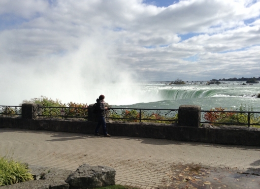 Niagra Falls - 1