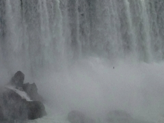 Niagra Falls - 14 - IMG_0259_1