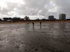 IMG_20180826_102608097 (2)