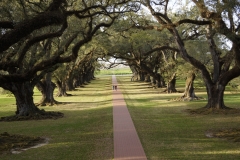 Oak Alley Plantation