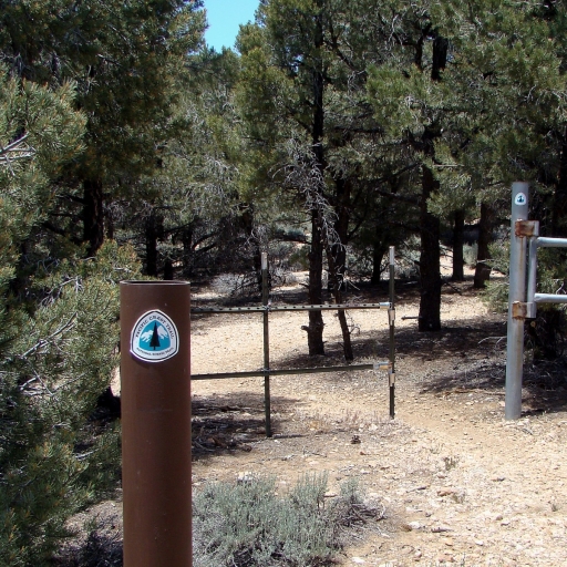 Pacific-Crest-Trail-near-Big-Bear-01