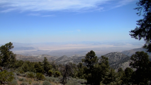 Pacific-Crest-Trail-near-Big-Bear-09