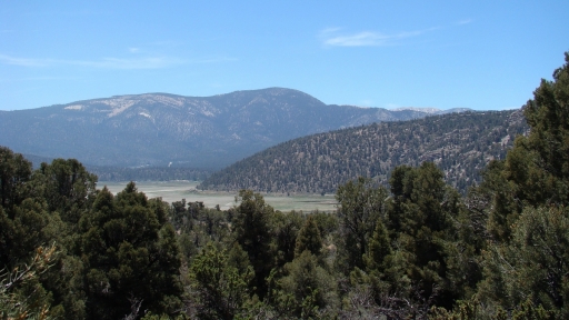 Pacific-Crest-Trail-near-Big-Bear-21