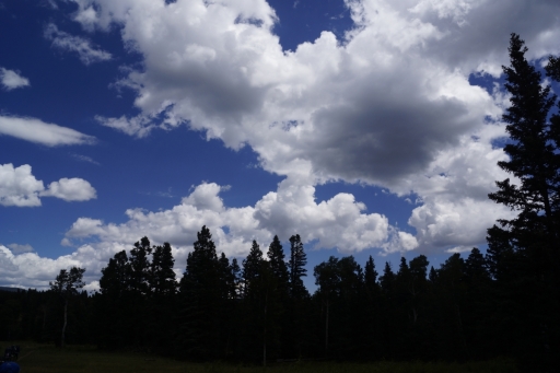 2016 philmont 485