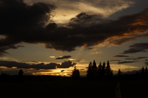 2016 philmont 532