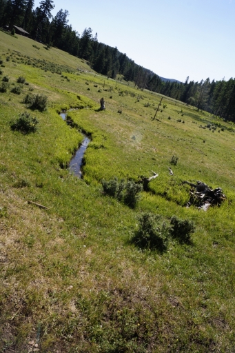 2016 philmont 554