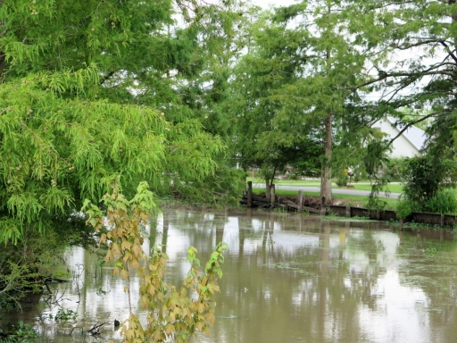 IMG_1105 (2)