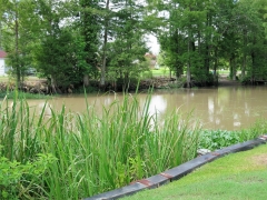 Pierre Part Louisiana