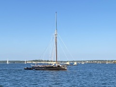 IMG_1120