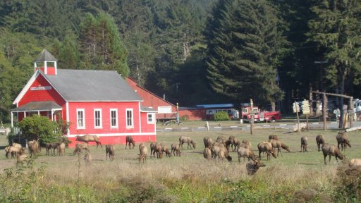Prairie-Creek-Redwoods-State-Park-03