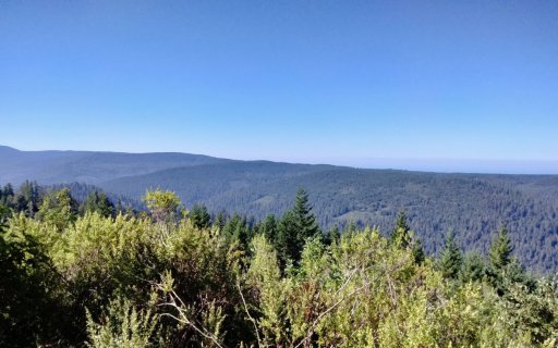 Redwood-National-Park-20