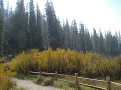 Hike-to-Rainbow-and-Lower-Falls-2025-01