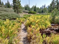 Hike-to-Rainbow-and-Lower-Falls-2025-25