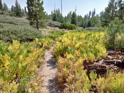 Hike-to-Rainbow-and-Lower-Falls-2025-25