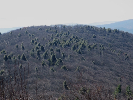 Interesting mountain - looking south - IMG_2070