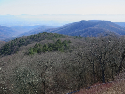Looking South - IMG_2102