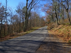 Road up the Mountain - IMG_2055