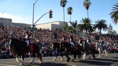 Rose-Parade-2010-25