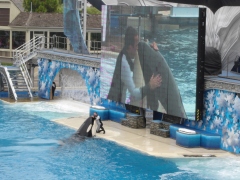 SeaWorld-San-Diego-03