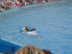 SeaWorld-San-Diego-04