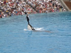 SeaWorld-San-Diego-06