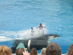 SeaWorld-San-Diego-13