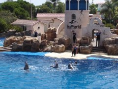 SeaWorld San Diego