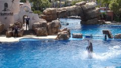 SeaWorld-San-Diego-16