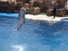 SeaWorld-San-Diego-17