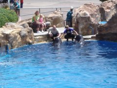 SeaWorld-San-Diego-19