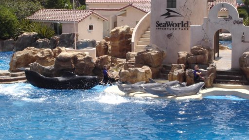 SeaWorld-San-Diego-22