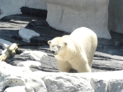 SeaWorld-San-Diego-28