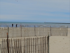IMG_0228 (2)